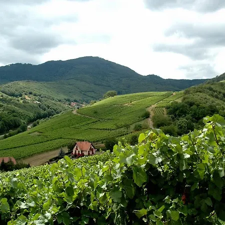 Domaine Du Haras De Pierre De 90m2 Appartement *